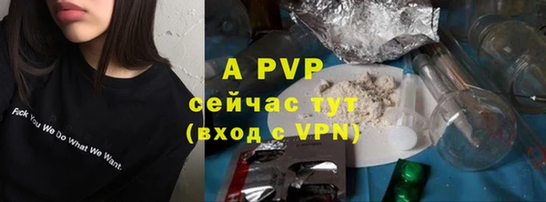 дурь Осташков
